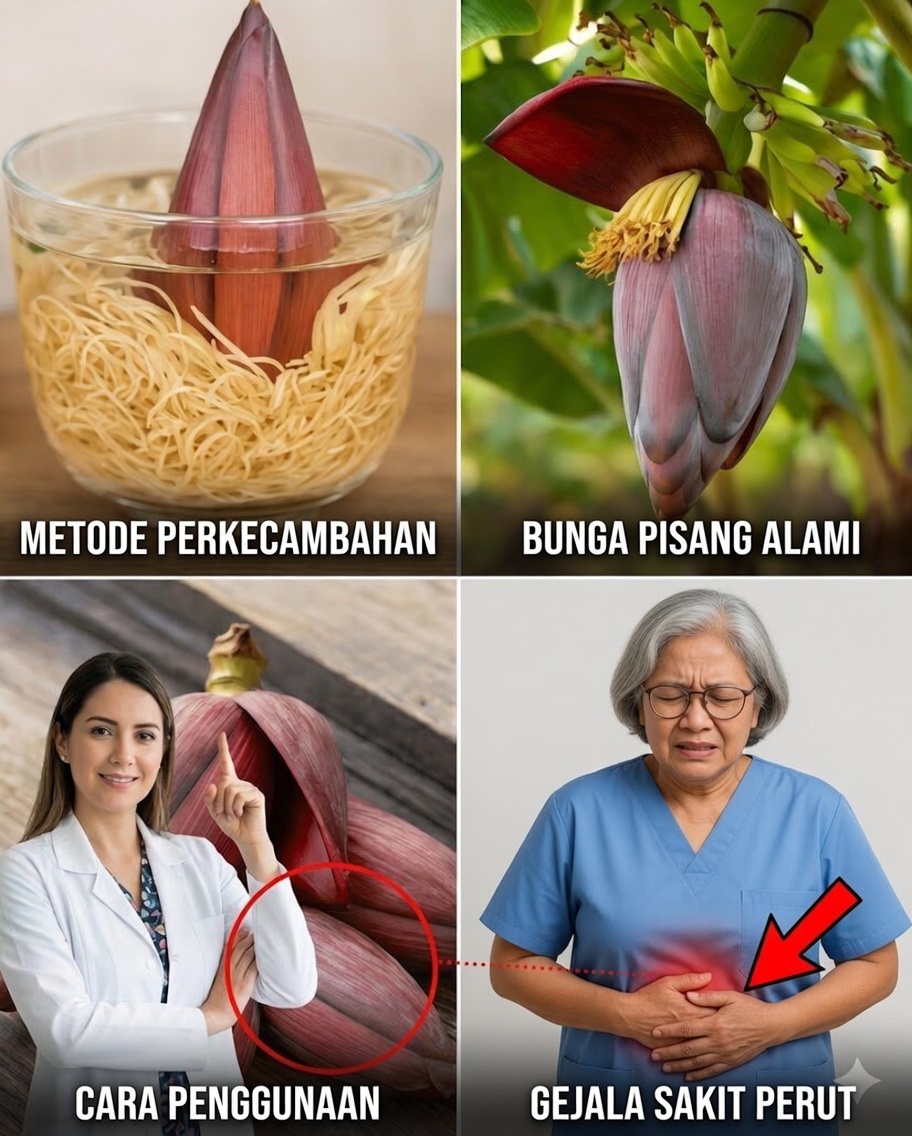 Temukan Kekuatan Jantung Pisang: 13 Manfaat Mengesankan bagi Kesehatan Orang Dewasa Paruh Baya dan Lansia