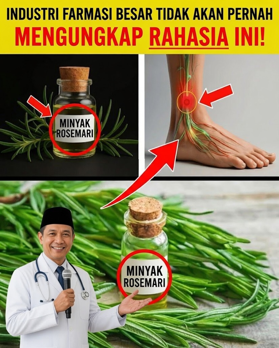 Lansia: Gunakan Minyak Rosemary dengan Cara Ini dan Temukan 12 Manfaat Luar Biasa