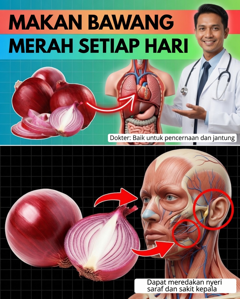 12 Manfaat Mengejutkan dari Mengonsumsi Bawang Bombai Mentah