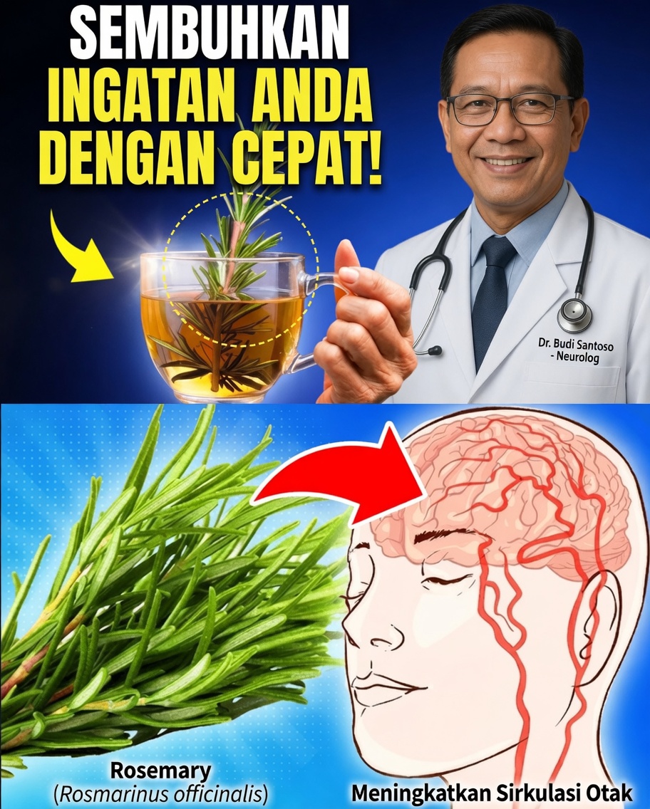 15 Cara Luar Biasa Menggunakan Rosemary yang Dapat Mengubah Hidup Anda