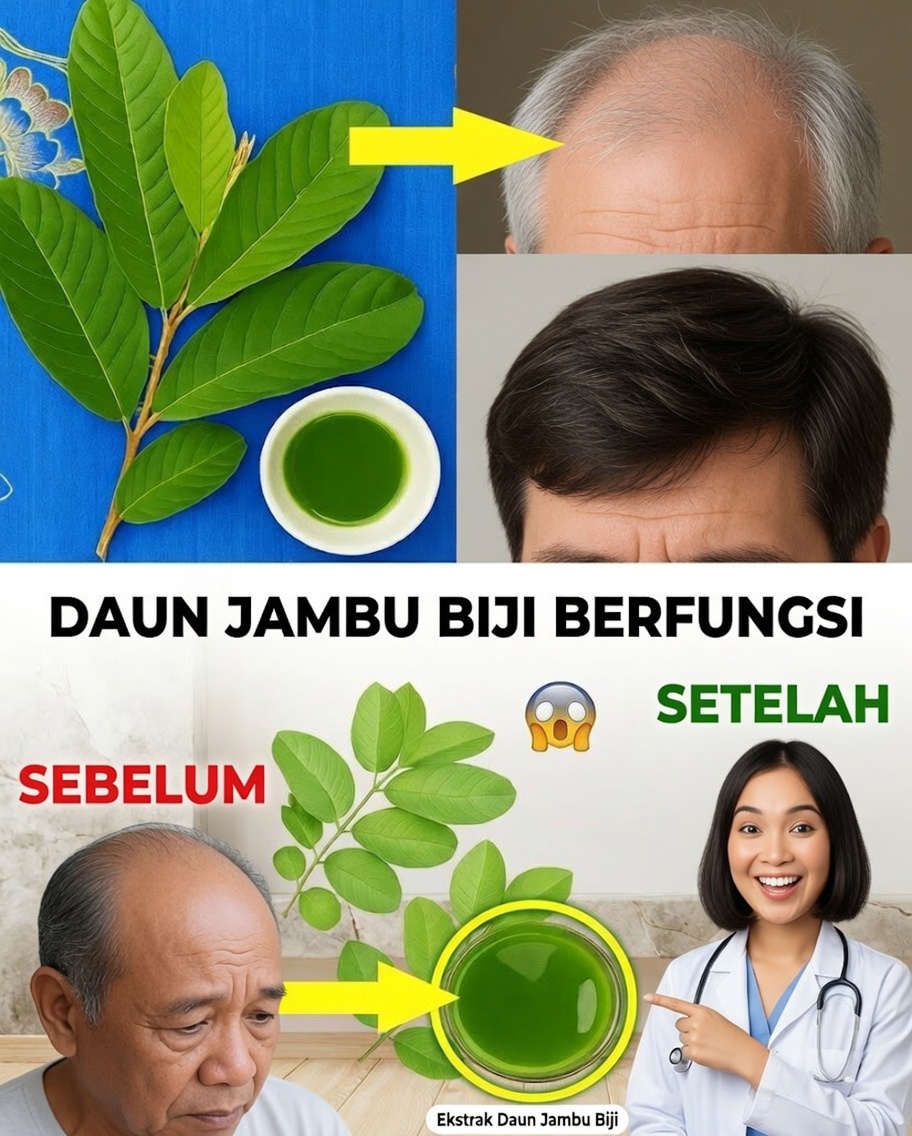 Dari Akar hingga Ujung: Daun Jambu Biji untuk Memperbarui Rambut