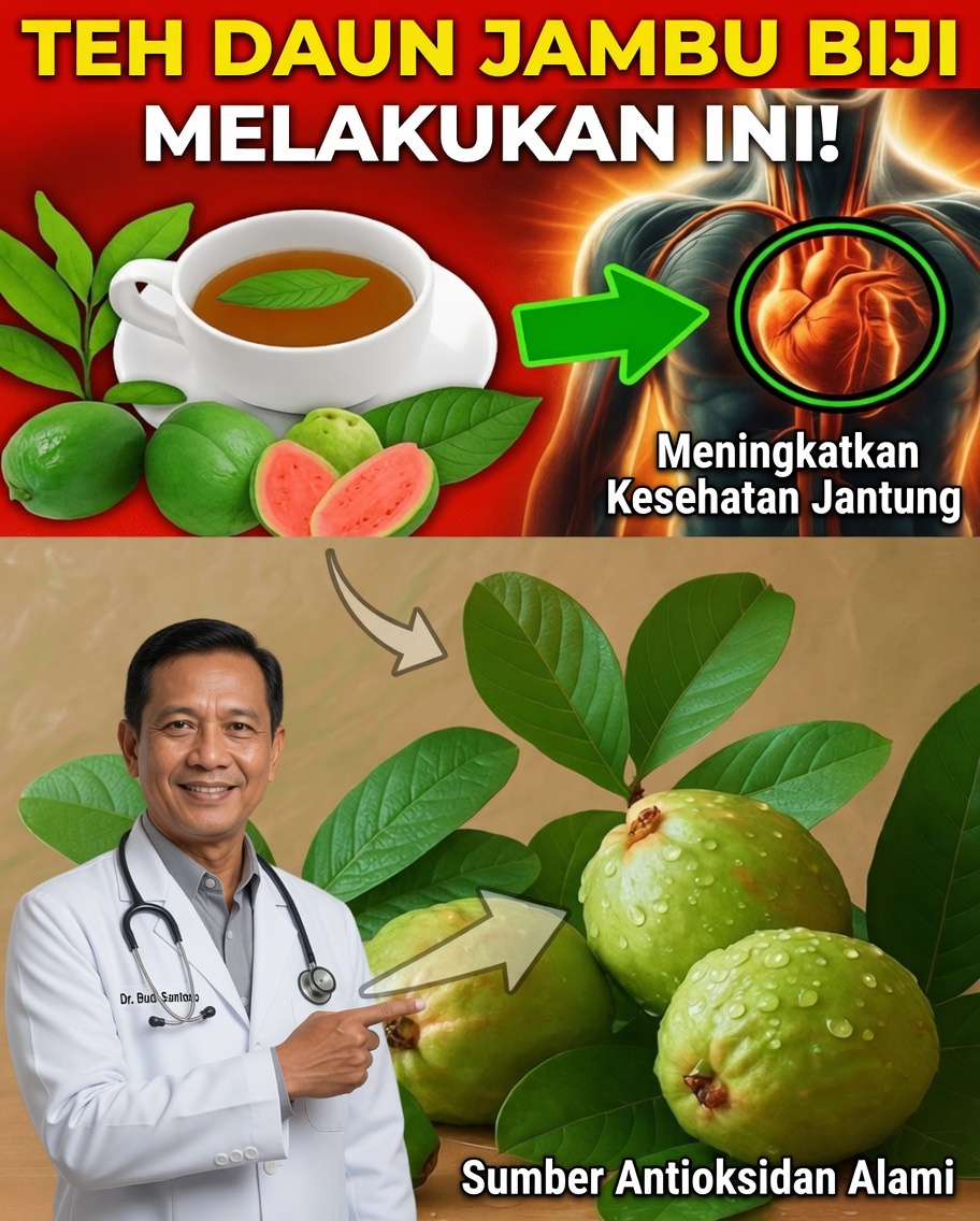 Rahasia Kuno Daun Jambu Biji yang Sedang Ditemukan Kembali oleh Kesejahteraan Modern