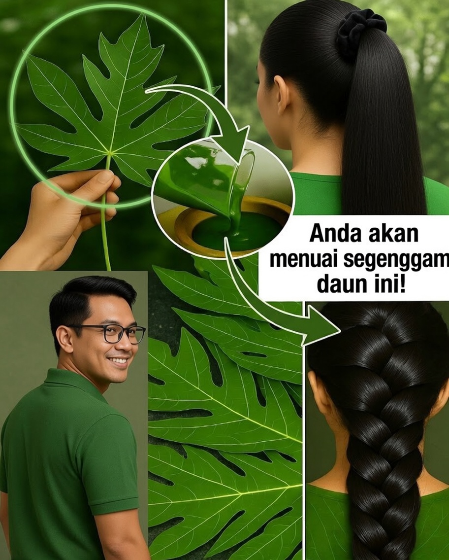 Daun Pepaya: Rahasia Alami yang Banyak Orang Gunakan untuk Memiliki Rambut yang Lebih Kuat dan Berkilau
