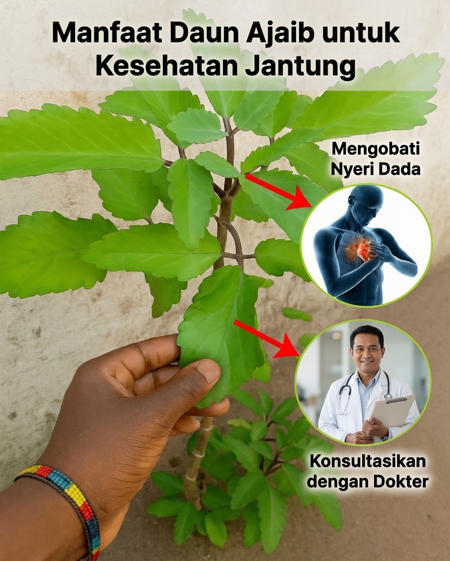 Mengapa Berbagai Generasi Memercayai Tanaman Kehidupan dan Manfaat Kesehatannya yang Mengejutkan