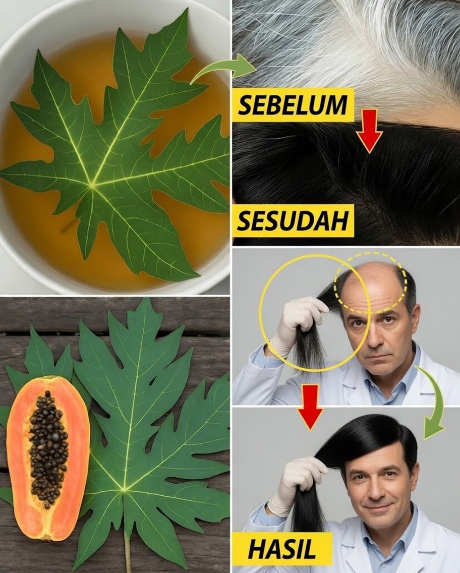 Daun Pepaya: Trik Alami untuk Rambut Lebih Gelap dan Panjang dalam Semalam