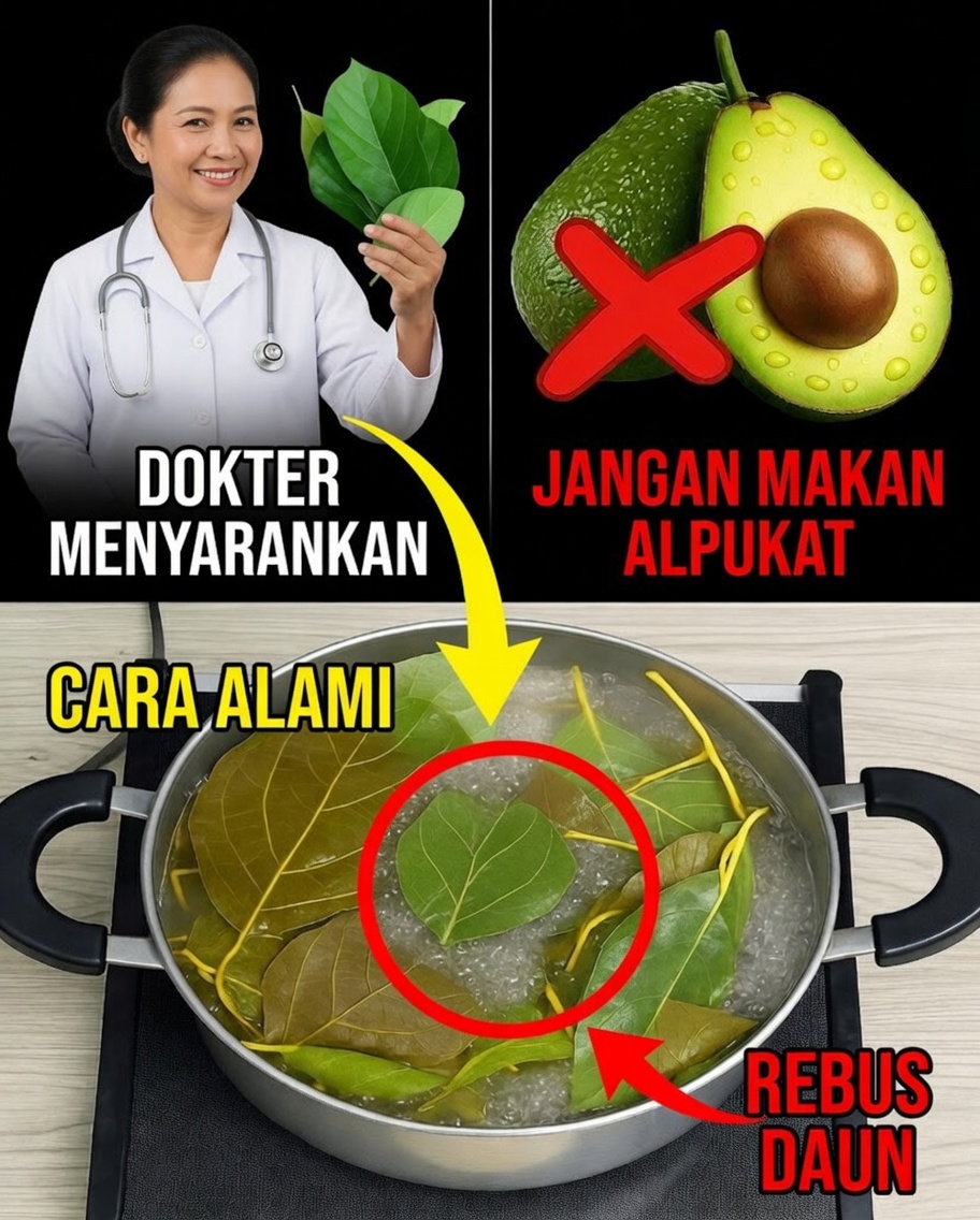 Daun Alpukat Terungkap: Superfood Alami yang Hampir Tidak Ada yang Menggunakannya