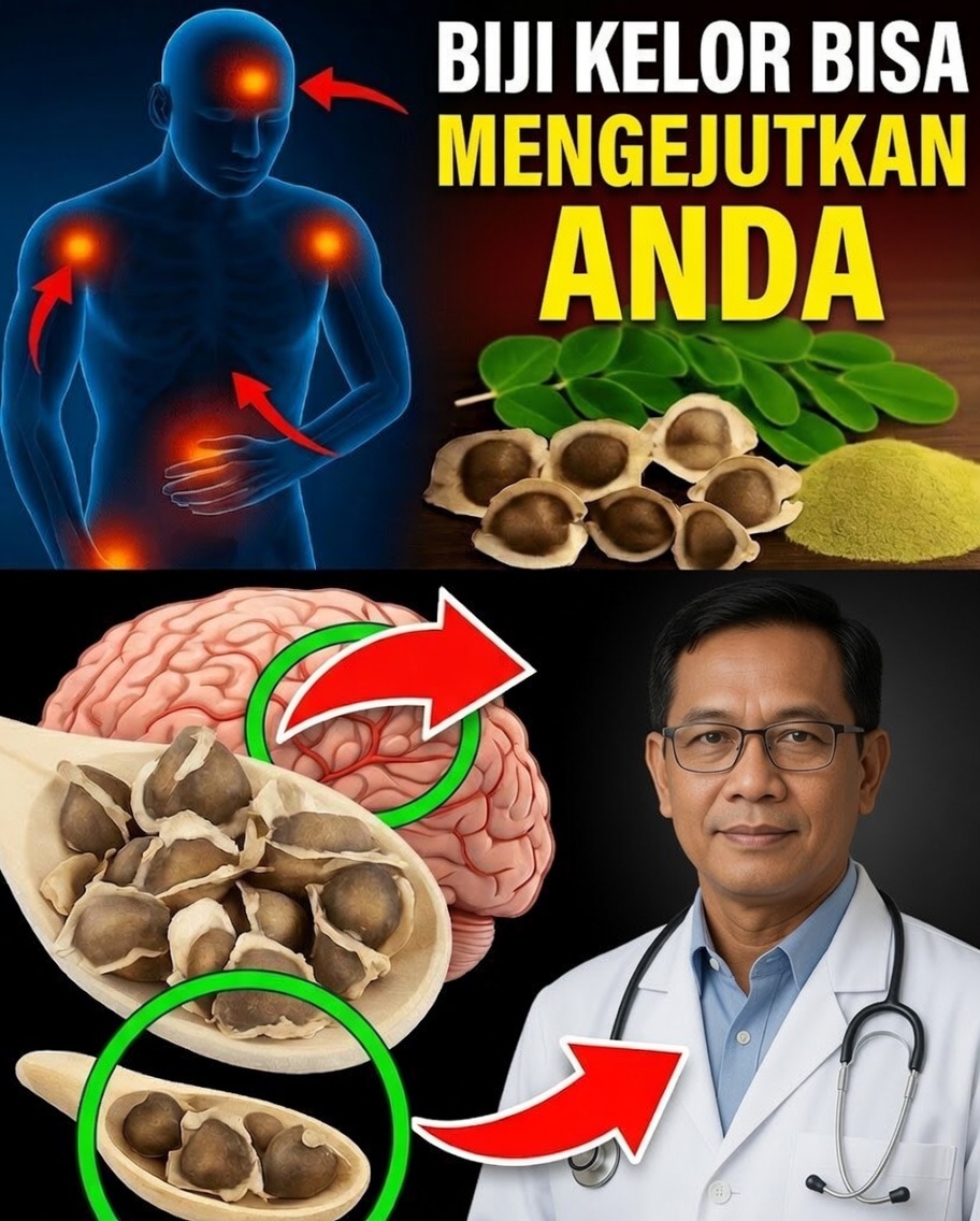 Mengapa Biji Moringa Merupakan Harta Karun Tersembunyi bagi Kesehatan Anda