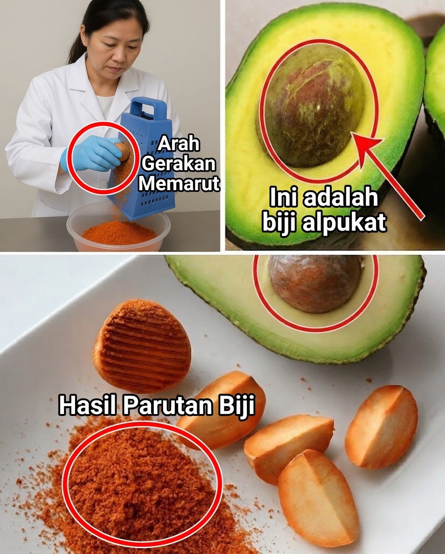 Biji Alpukat: Harta Karun Nutrisi yang Terlupakan