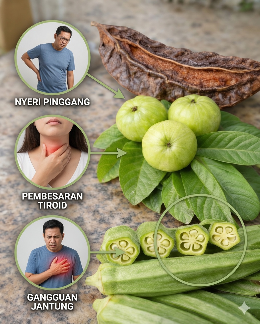 Teh Okra dengan Daun Jambu Biji: Kombinasi Tradisional untuk Mendukung Kesehatan Saluran Kemih dan Keseimbangan Tubuh