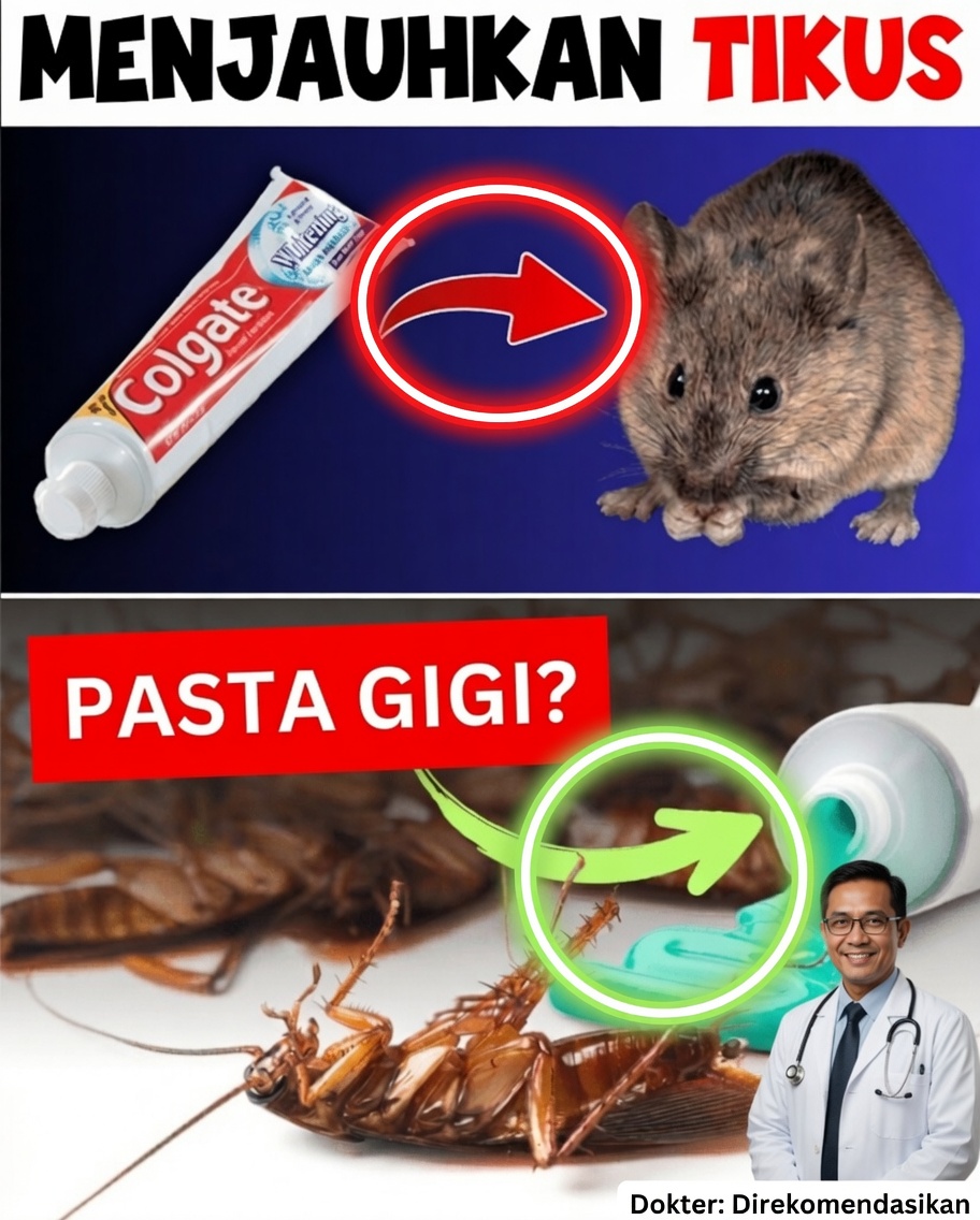 Trik Pasta Gigi yang Mengejutkan yang Membantu Menjauhkan Hama Rumah Tangga Secara Alami