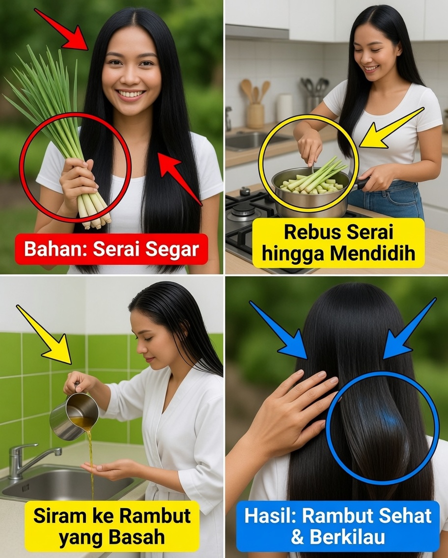 Capim-Pé-de-Galinha: Dari Gulma Biasa Menjadi Harta Karun Penyembuhan Alami