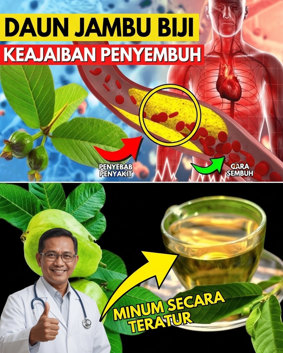 17 Alasan Ampuh untuk Minum Teh Daun Jambu Biji Dua Kali Seminggu demi Kesehatan yang Lebih Baik
